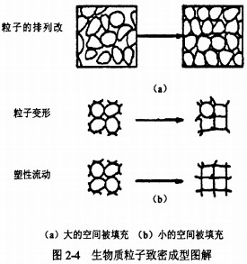 意甲直播cctv5