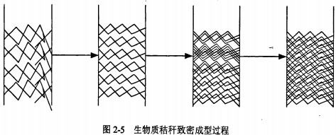 意甲直播cctv5