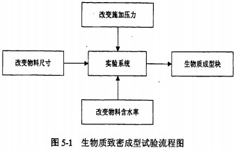 意甲直播cctv5