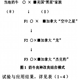 意甲直播cctv5