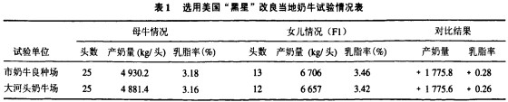 意甲直播cctv5