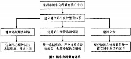 意甲直播cctv5