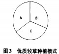 意甲直播cctv5