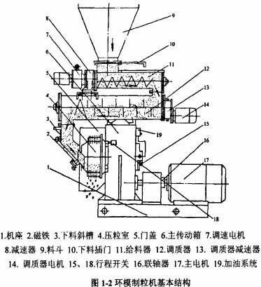 意甲直播cctv5