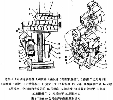 意甲直播cctv5