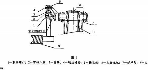 意甲直播cctv5