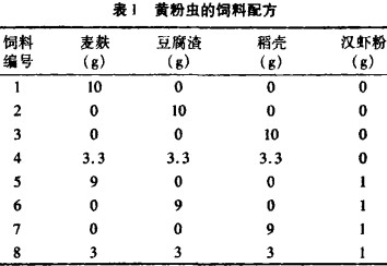 意甲直播cctv5