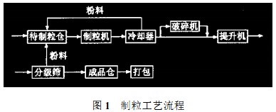 意甲直播cctv5