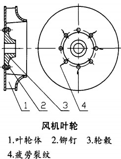 意甲直播cctv5