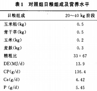 意甲直播cctv5