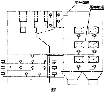 意甲直播cctv5