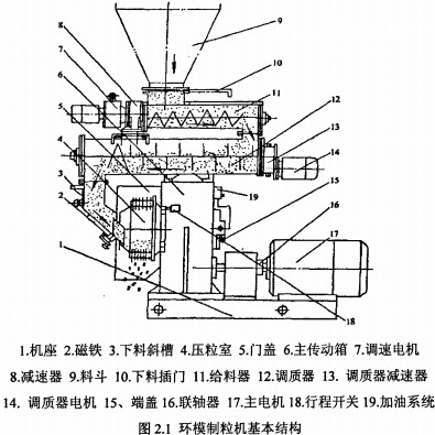 意甲直播cctv5