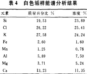 意甲直播cctv5