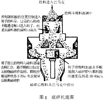 意甲直播cctv5