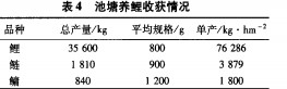 意甲直播cctv5