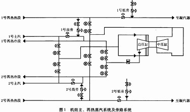 意甲直播cctv5