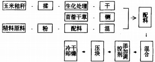 意甲直播cctv5