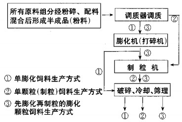 意甲直播cctv5