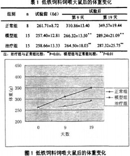 意甲直播cctv5