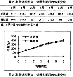 意甲直播cctv5