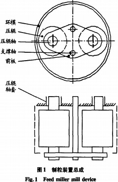 意甲直播cctv5