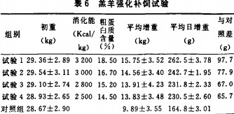 意甲直播cctv5