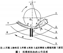 意甲直播cctv5