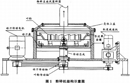 意甲直播cctv5