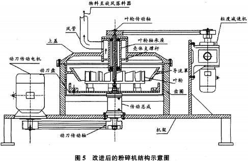 意甲直播cctv5