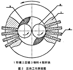 意甲直播cctv5