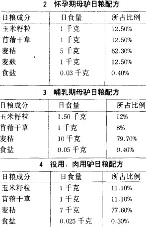 意甲直播cctv5