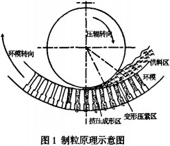 意甲直播cctv5