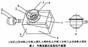 意甲直播cctv5