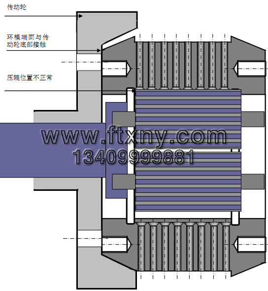 意甲直播cctv5